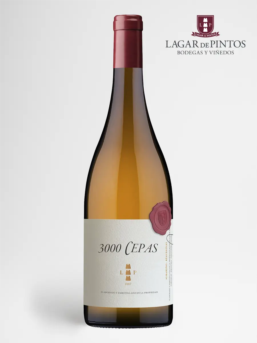 albarino-3000-cepas-lagar-de-pintos