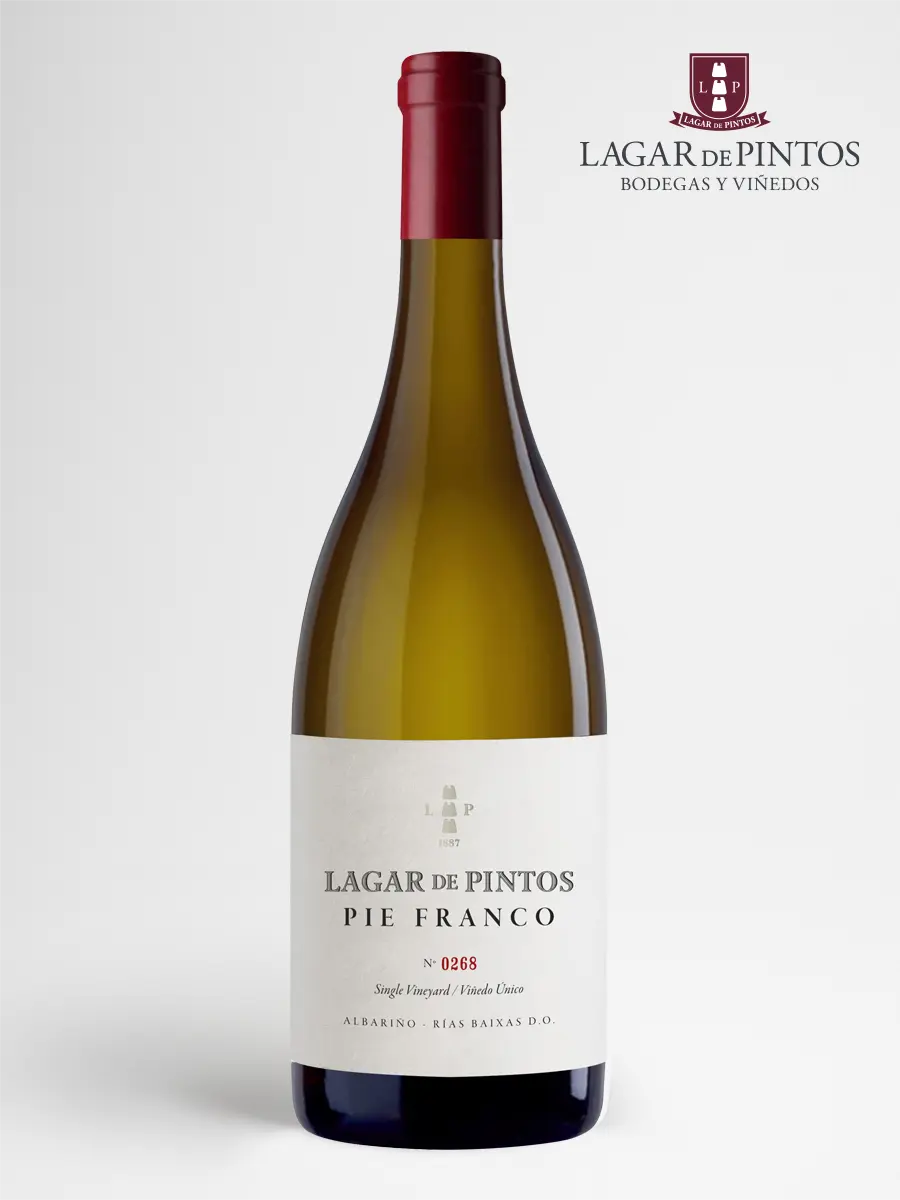 albarino-lagar-de-pintos-pie-franco
